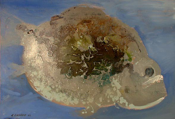 Parrotfish